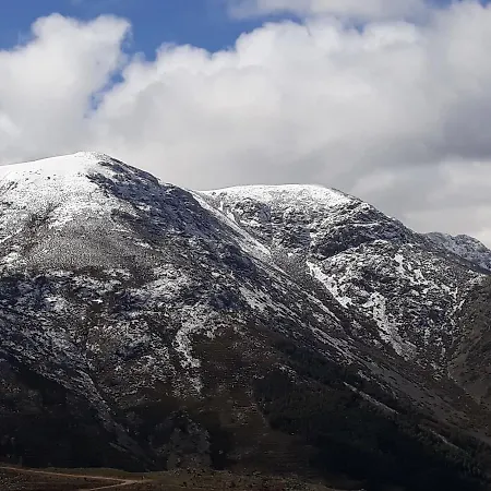 Restaurante מלון